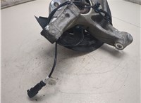 13547478, 84210076, 84064847 Ступица (кулак, цапфа) Chevrolet Equinox 2017-2021 20500572 #6