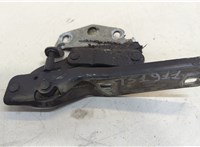  Петля капота Volkswagen Passat 6 2005-2010 20500656 #1