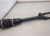  Амортизатор подвески Mercedes GL X164 2006-2012 20501411 #1