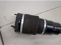 Амортизатор подвески Mercedes GL X164 2006-2012 20501411 #3