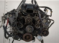  Компрессор кондиционера Ford Expedition 2002-2006 11446016 #1