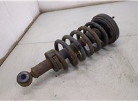  Амортизатор подвески Ford Expedition 2002-2006 20501779 #1