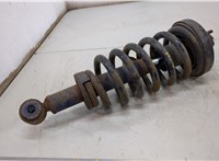  Амортизатор подвески Ford Expedition 2002-2006 20501783 #1