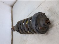 Амортизатор подвески Ford Expedition 2002-2006 20501783 #2