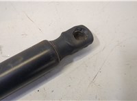  Амортизатор капота Ford Expedition 2002-2006 20501996 #2