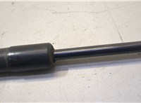  Амортизатор капота Ford Expedition 2002-2006 20501996 #3