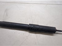 4853069107 Амортизатор подвески Lexus LX 1998-2007 20502017 #4