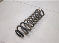  Пружина подвески Ford Mustang 2005-2009 20502264 #1