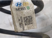  Пружина подвески Hyundai Elantra 2020-2025 20502293 #2