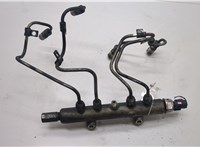  Рампа (рейка) топливная Mitsubishi L200 2006-2015 20502534 #1