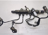  Рампа (рейка) топливная Mitsubishi L200 2006-2015 20502534 #4