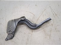  Петля капота Hyundai Elantra 2020-2025 20502578 #1