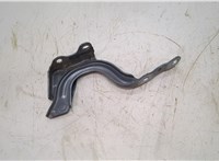  Петля капота Hyundai Elantra 2020-2025 20502583 #1