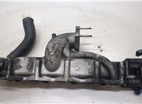  Коллектор впускной Hyundai Santa Fe 2005-2012 20502829 #1