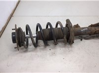  Амортизатор подвески Opel Antara 20502875 #1