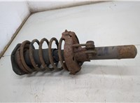  Амортизатор подвески Peugeot Partner 2002-2008 20502881 #2
