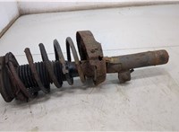  Амортизатор подвески Peugeot Partner 2002-2008 20502960 #1