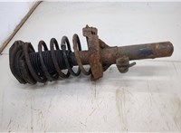  Амортизатор подвески Peugeot Partner 2002-2008 20502960 #3