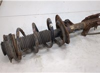  Амортизатор подвески Nissan X-Trail (T31) 2007-2015 20503039 #1