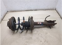 54302EQ025, 54010EQ02B Амортизатор подвески Nissan X-Trail (T30) 2001-2007 20503206 #4