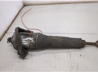  Амортизатор подвески Audi A8 (D3) 2002-2010 20503224 #1