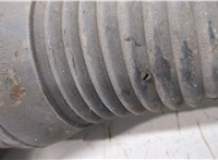  Амортизатор подвески Audi A8 (D3) 2002-2010 20503224 #3