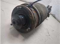 RNB501430 Амортизатор подвески Land Rover Range Rover 3 (LM) 2002-2012 20503241 #6
