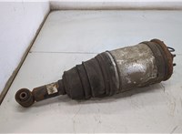  Амортизатор подвески Land Rover Discovery 3 2004-2009 20503246 #1