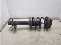 54303EQ025, 54010EQ02B Амортизатор подвески Nissan X-Trail (T30) 2001-2007 20503248 #7