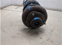 54303EQ025, 54010EQ02B Амортизатор подвески Nissan X-Trail (T30) 2001-2007 20503248 #9