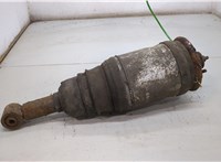  Амортизатор подвески Land Rover Discovery 3 2004-2009 20503294 #1