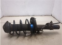 1710069, 1851893 Амортизатор подвески Ford Focus 3 2011-2015 20503304 #8