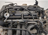  Компрессор кондиционера Ford Focus 1 1998-2004 11446779 #5