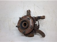  Ступица (кулак, цапфа) Nissan X-Trail (T30) 2001-2006 20503501 #1
