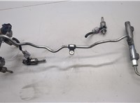  Форсунка топливная Subaru Forester (S14) 2018-2024 20503969 #4