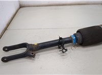  Амортизатор подвески Mercedes GL X164 2006-2012 20504018 #1