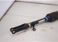  Амортизатор подвески Mercedes GL X164 2006-2012 20504018 #3