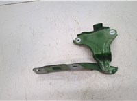  Петля капота Peugeot 308 2021- 20504098 #3