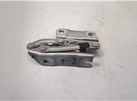  Петля капота Mercedes GL X164 2006-2012 20504379 #1