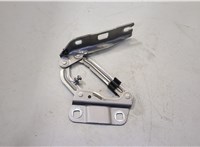  Петля капота Mercedes GL X164 2006-2012 20504379 #3