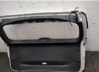41007494942, 7494942 Крышка (дверь) багажника BMW X3 G01 2017-2024 20504528 #11