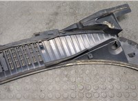 B5L1Z78022A69AA Жабо под дворники (дождевик) Ford Expedition 2002-2006 20504668 #2
