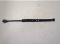  Амортизатор стекла багажника Ford Expedition 2002-2006 20504734 #1