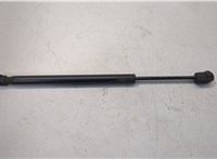  Амортизатор стекла багажника Ford Expedition 2002-2006 20504734 #2