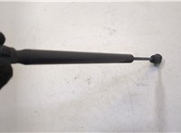  Амортизатор стекла багажника Ford Expedition 2002-2006 20504734 #3