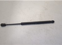  Амортизатор стекла багажника Ford Expedition 2002-2006 20504737 #1