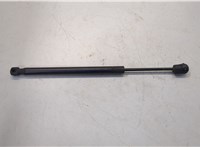  Амортизатор стекла багажника Ford Expedition 2002-2006 20504737 #2