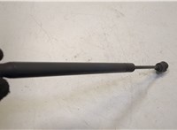  Амортизатор стекла багажника Ford Expedition 2002-2006 20504737 #3
