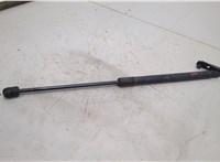  Амортизатор крышки багажника Nissan Murano 2008-2015 20504808 #1