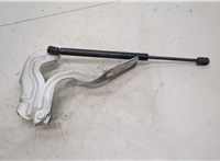  Амортизатор капота Nissan Murano 2008-2015 11447489 #3